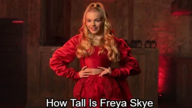 How Tall Is Freya Skye