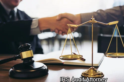 IRS Audit Attorney